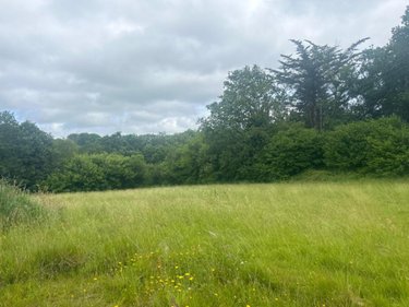 Terrain a batir a vendre Berrien 29690 Finistère 3470 m2  39500 euros