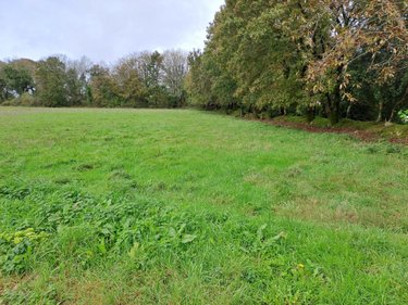 Terrain a batir a vendre Scrignac 29640 Finistère 4287 m2  32500 euros