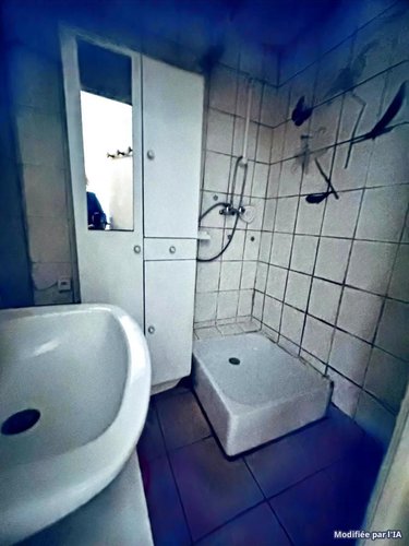 Maison a vendre Meslan 56320 Morbihan 50 m2 3 pièces 56600 euros