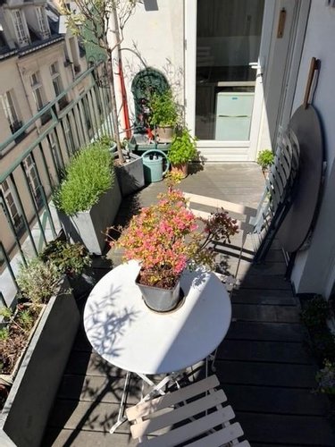 Viager appartement Paris 4e arrondissement 75004 Paris 65 m2 3 pièces 896080 euros