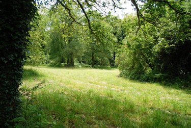 Maison a vendre Plouray 56770 Morbihan 700 m2 19 pièces 1098500 euros