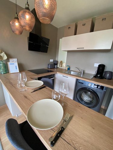 Location appartement Rennes 35000 Ille-et-Vilaine 31 m2 2 pièces 842 euros