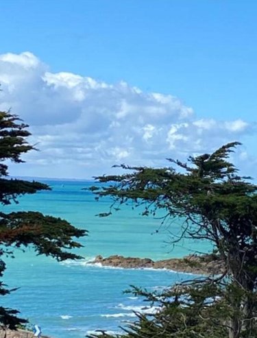 Maison a vendre Erquy 22430 Côtes-d'Armor 263 m2 8 pièces 1340000 euros