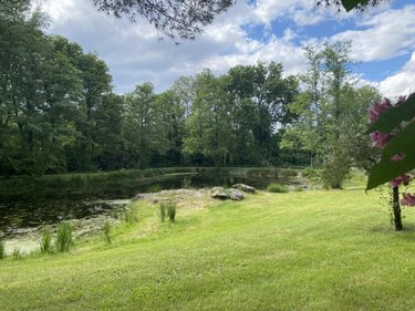 Terrains de loisirs bois etangs a vendre Sainte-Flaive-des-Loups 85150 Vendée 6000 m2  84400 euros