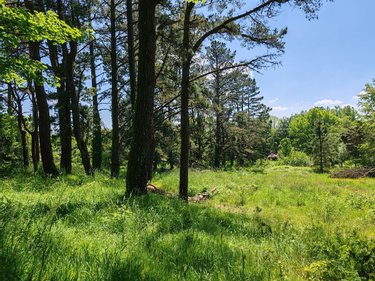Immeuble a vendre Plounéour-Ménez 29410 Finistère 637 m2  255000 euros
