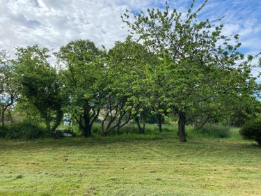 Maison a vendre Loudéac 22600 Côtes-d'Armor 122 m2 6 pièces 177820 euros