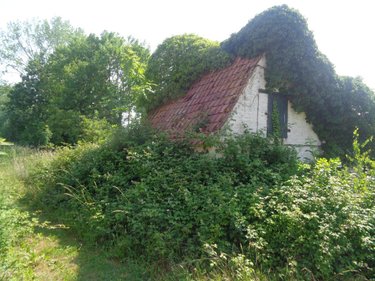 Maison a vendre Busnes 62350 Pas-de-Calais 88 m2 5 pièces 126500 euros