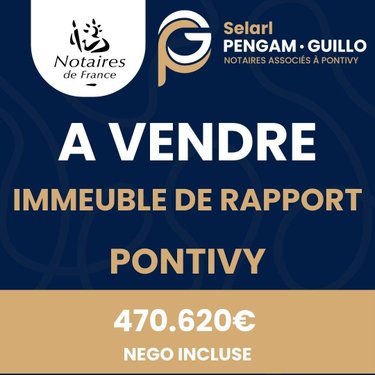 Immeuble a vendre Pontivy 56300 Morbihan 226 m2  470620 euros
