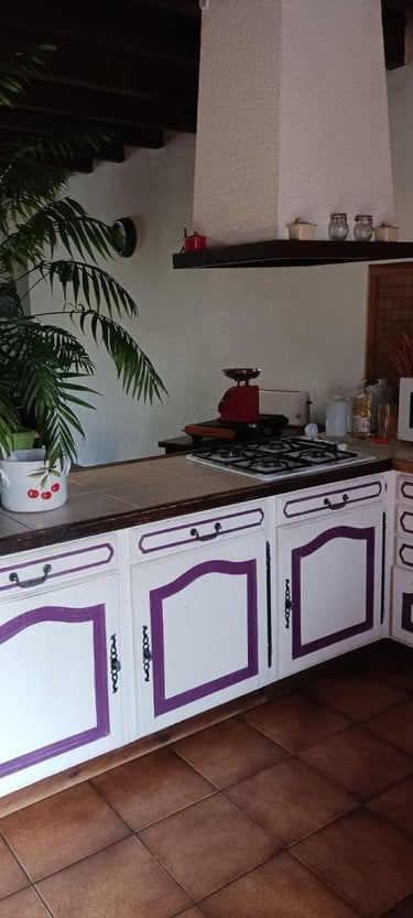 Maison a vendre Druillat 01160 Ain 197 m2 7 pièces 345000 euros