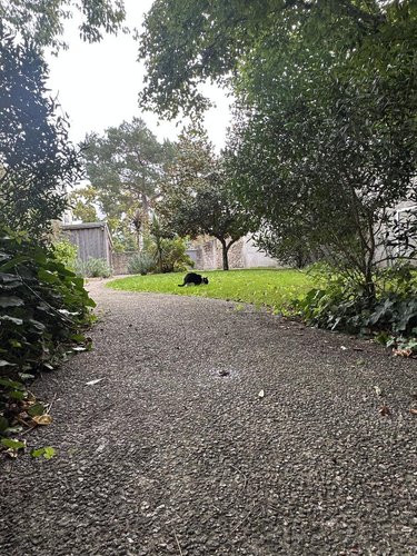 Maison a vendre Lorient 56100 Morbihan 300 m2 9 pièces 793720 euros