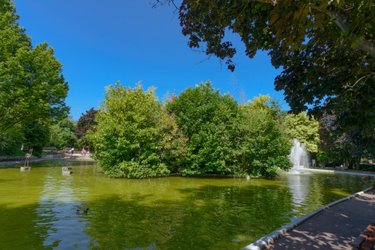 Appartement a vendre Malakoff 92240 Hauts-de-Seine 49 m2 2 pièces 249000 euros