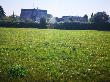 Terrain a batir a vendre Le Val-Saint-Père 50300 Manche 531 m2  67720 euros