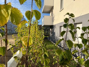 Appartement a vendre Rennes 35000 Ille-et-Vilaine 67 m2 3 pièces 240350 euros