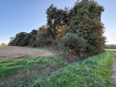 Terrain a batir a vendre Guilliers 56490 Morbihan 3532 m2  4900 euros