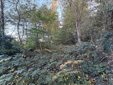 Terrain a batir a vendre Guilliers 56490 Morbihan 3532 m2  7100 euros