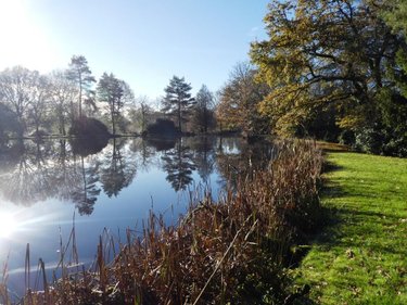 Maison a vendre Langoëlan 56160 Morbihan 130 m2 5 pièces 163230 euros