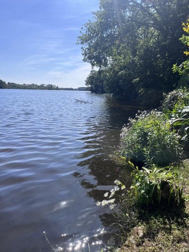 Maison a vendre Theix-Noyalo 56450 Morbihan 120 m2 5 pièces 299250 euros