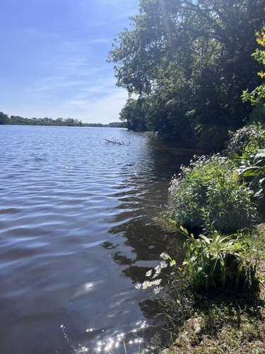 Maison a vendre Theix-Noyalo 56450 Morbihan 120 m2 5 pièces 346500 euros