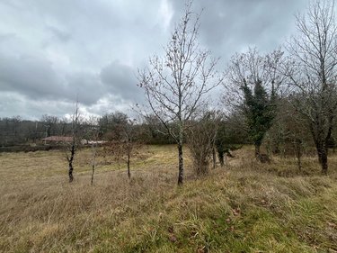 Terrain a batir a vendre Béduer 46100 Lot 2055 m2  35000 euros