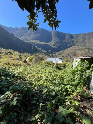 Terrain a batir a vendre Cilaos 97413 Réunion 1266 m2  71200 euros