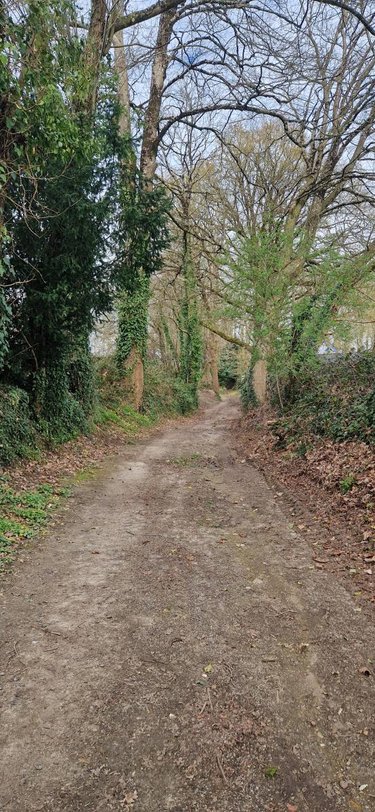 Terrain a batir a vendre Pontivy 56300 Morbihan 1069 m2  85085 euros