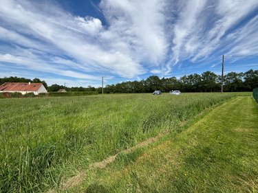 Terrain a batir a vendre Sonzay 37360 Indre-et-Loire 1209 m2  85600 euros