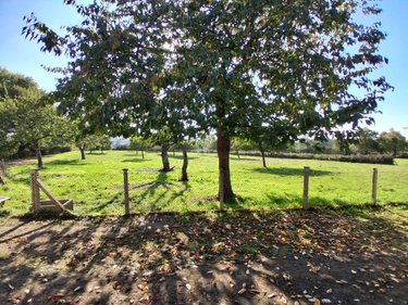 Maison a vendre Rives-d'Andaine 61140 Orne 65 m2 4 pièces 63600 euros