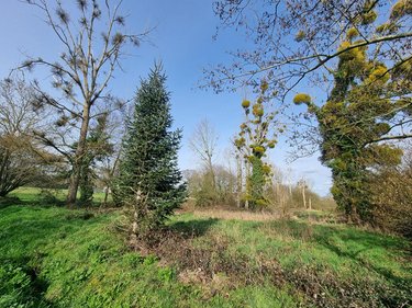 Divers a vendre Poilley 50220 Manche 2750 m2  6200 euros