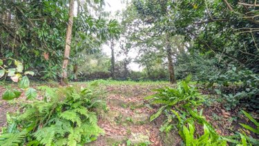 Maison a vendre Saint-Martin-d'Audouville 50310 Manche 82 m2 5 pièces 146000 euros