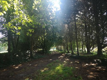 Maison a vendre Pleine-Fougères 35610 Ille-et-Vilaine 200 m2 6 pièces 935160 euros