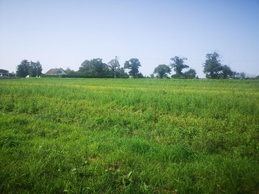 Terrain a batir a vendre Ducey-les-Chéris 50220 Manche 2913 m2  92750 euros