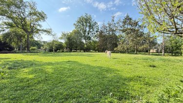 Maison a vendre Betton 35830 Ille-et-Vilaine 140 m2 6 pièces 494950 euros