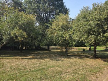 Divers a vendre Ruillé-Froid-Fonds 53170 Mayenne 11300 m2  85400 euros