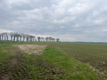 Terrain a batir a vendre Taupont 56800 Morbihan 1489 m2  104750 euros