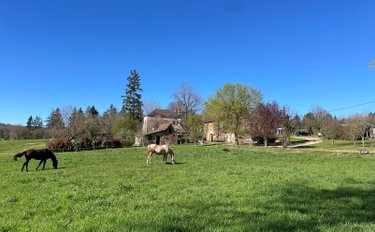 Maison a vendre Figeac 46100 Lot 489 m2 14 pièces 843000 euros
