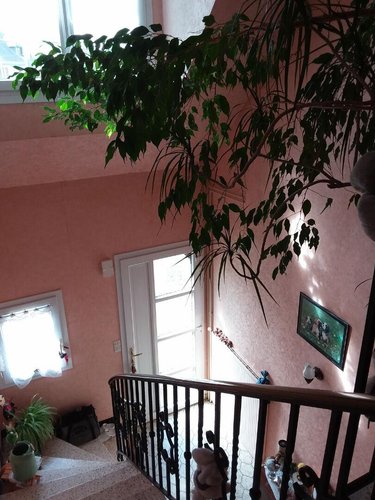 Maison a vendre Fougères 35300 Ille-et-Vilaine 121 m2 6 pièces 275600 euros