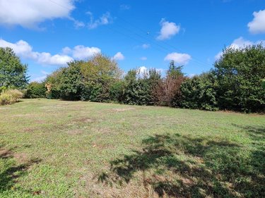Terrain a batir a vendre Notre-Dame-d'Allençon 49380 Maine-et-Loire 851 m2  59200 euros