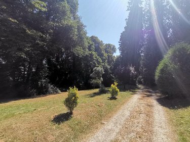 Maison a vendre Iffendic 35750 Ille-et-Vilaine 180 m2 7 pièces 440160 euros