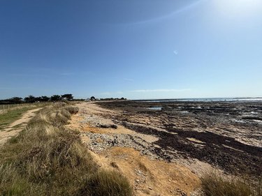 Maison a vendre Damgan 56750 Morbihan 180 m2 6 pièces 418000 euros