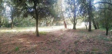 Terrain a batir a vendre Saint-Pierre-d'Oléron 17310 Charente-Maritime 1516 m2  240700 euros