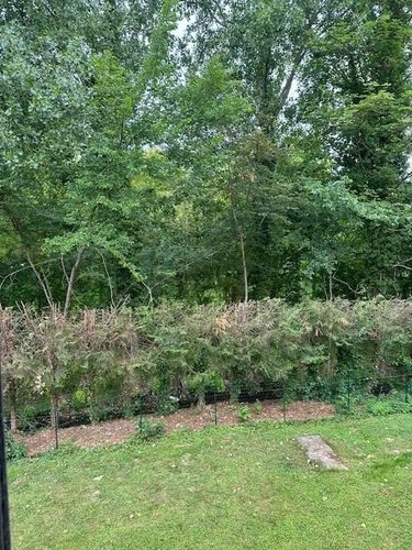 Maison a vendre Marcoing 59159 Nord 173 m2 5 pièces 628800 euros
