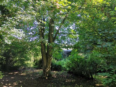 Maison a vendre Saint-Malon-sur-Mel 35750 Ille-et-Vilaine 180 m2 9 pièces 107000 euros