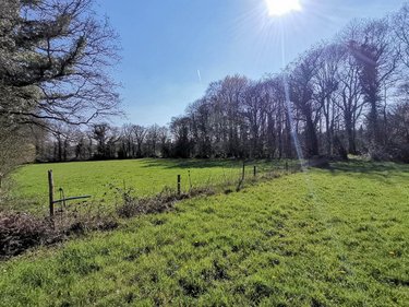 Maison a vendre Iffendic 35750 Ille-et-Vilaine 122 m2 6 pièces 333264 euros