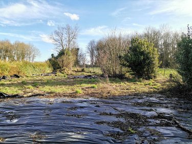 Maison a vendre Quédillac 35290 Ille-et-Vilaine 68 m2 4 pièces 59000 euros