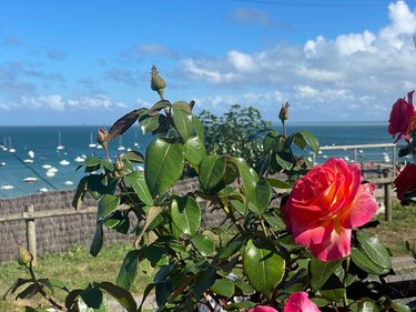 Maison a vendre Cancale 35260 Ille-et-Vilaine 80 m2 3 pièces 606460 euros