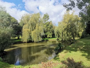 Maison a vendre Trémorel 22230 Côtes-d'Armor 153 m2 6 pièces 229000 euros