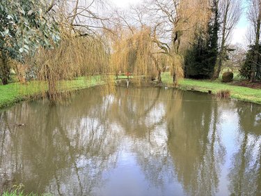 Maison a vendre Trémorel 22230 Côtes-d'Armor 153 m2 6 pièces 239992 euros