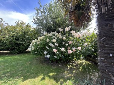 Maison a vendre Fouesnant 29170 Finistère 113 m2 5 pièces 370975 euros