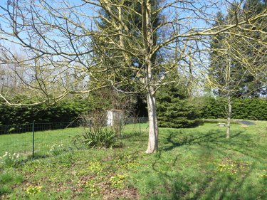 Maison a vendre Mesnil-Clinchamps 14380 Calvados 200 m2 7 pièces 263700 euros