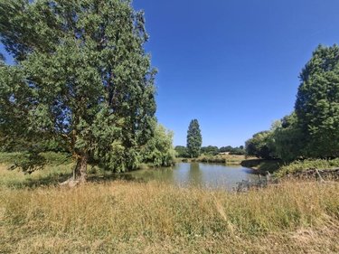 Terrains de loisirs bois etangs a vendre Thorigné-en-Charnie 53270 Mayenne 21918 m2  24760 euros